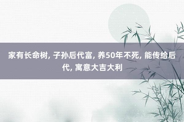 家有长命树, 子孙后代富, 养50年不死, 能传给后代, 寓意大吉大利