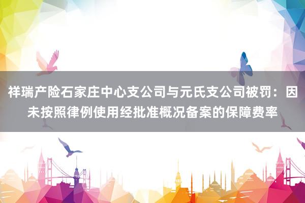 祥瑞产险石家庄中心支公司与元氏支公司被罚：因未按照律例使用经批准概况备案的保障费率