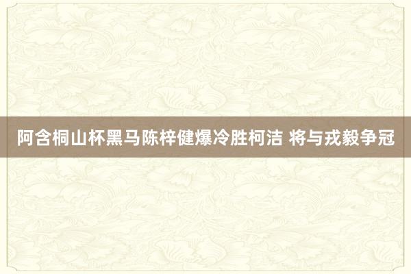 阿含桐山杯黑马陈梓健爆冷胜柯洁 将与戎毅争冠